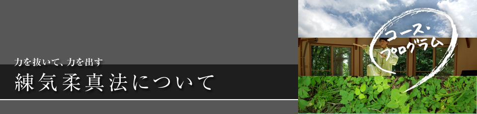 力を抜いて、力を出す 練気柔真法について